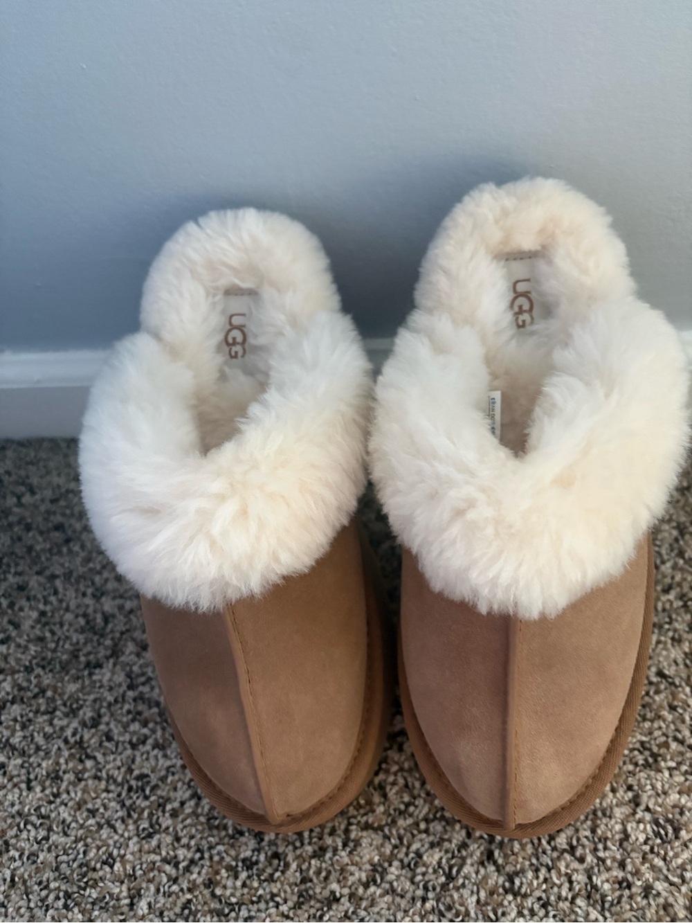 UGG Women's Chestnut Suede Sheepskin Slipper Clogs with Cream Fur Collar